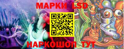индика Анжеро-Судженск