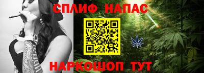индика Анжеро-Судженск