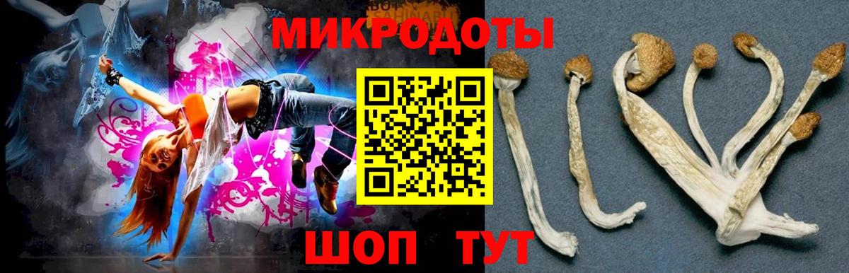 Галлюциногенные грибы прущие грибы  Вход с VPN  Псилоцибиновые грибы Psilocybine cubensis  Кудрово 